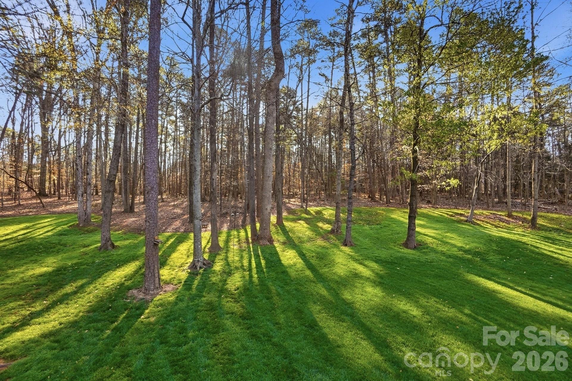 1038 Patricians Lane