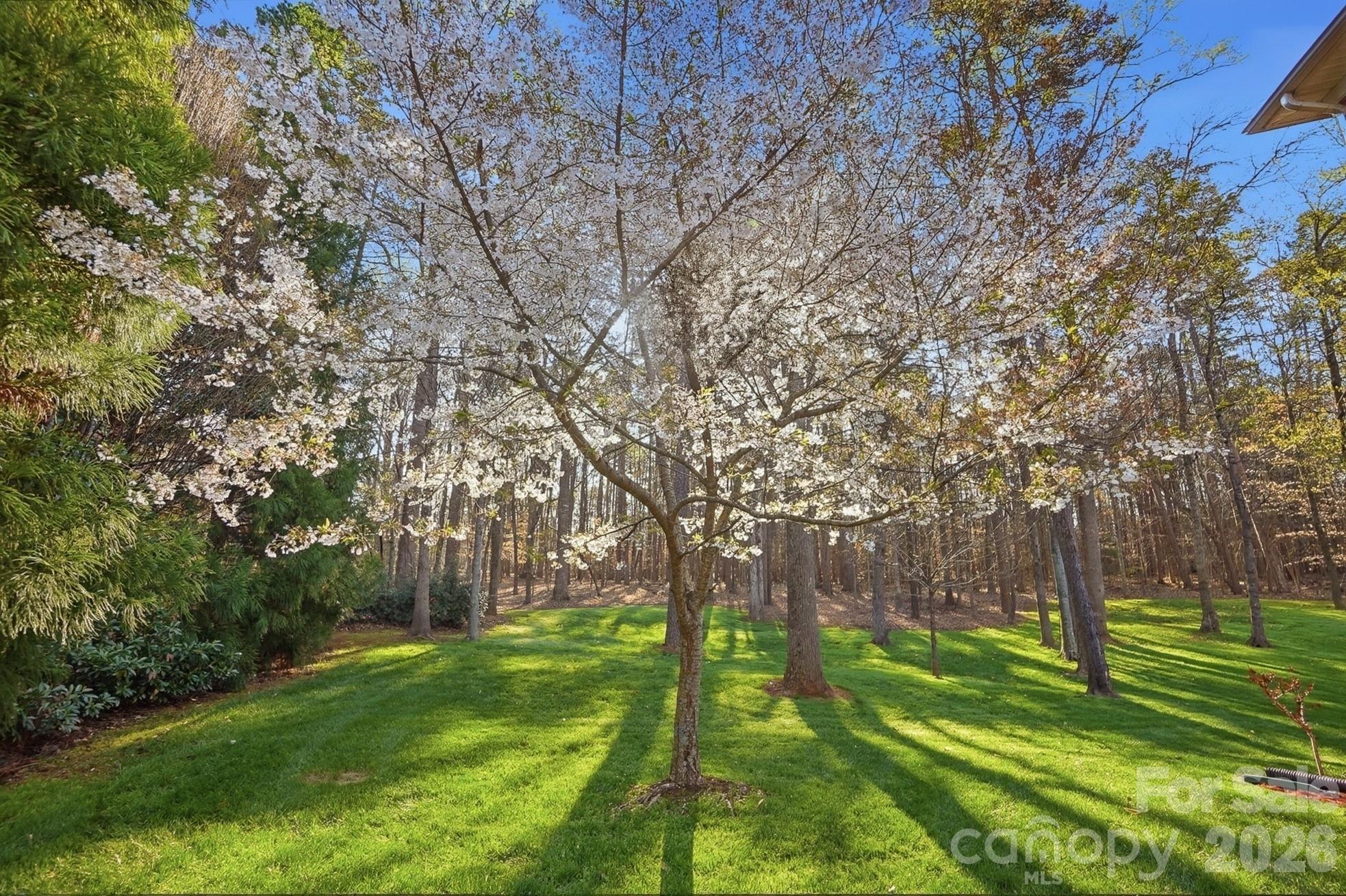 1038 Patricians Lane