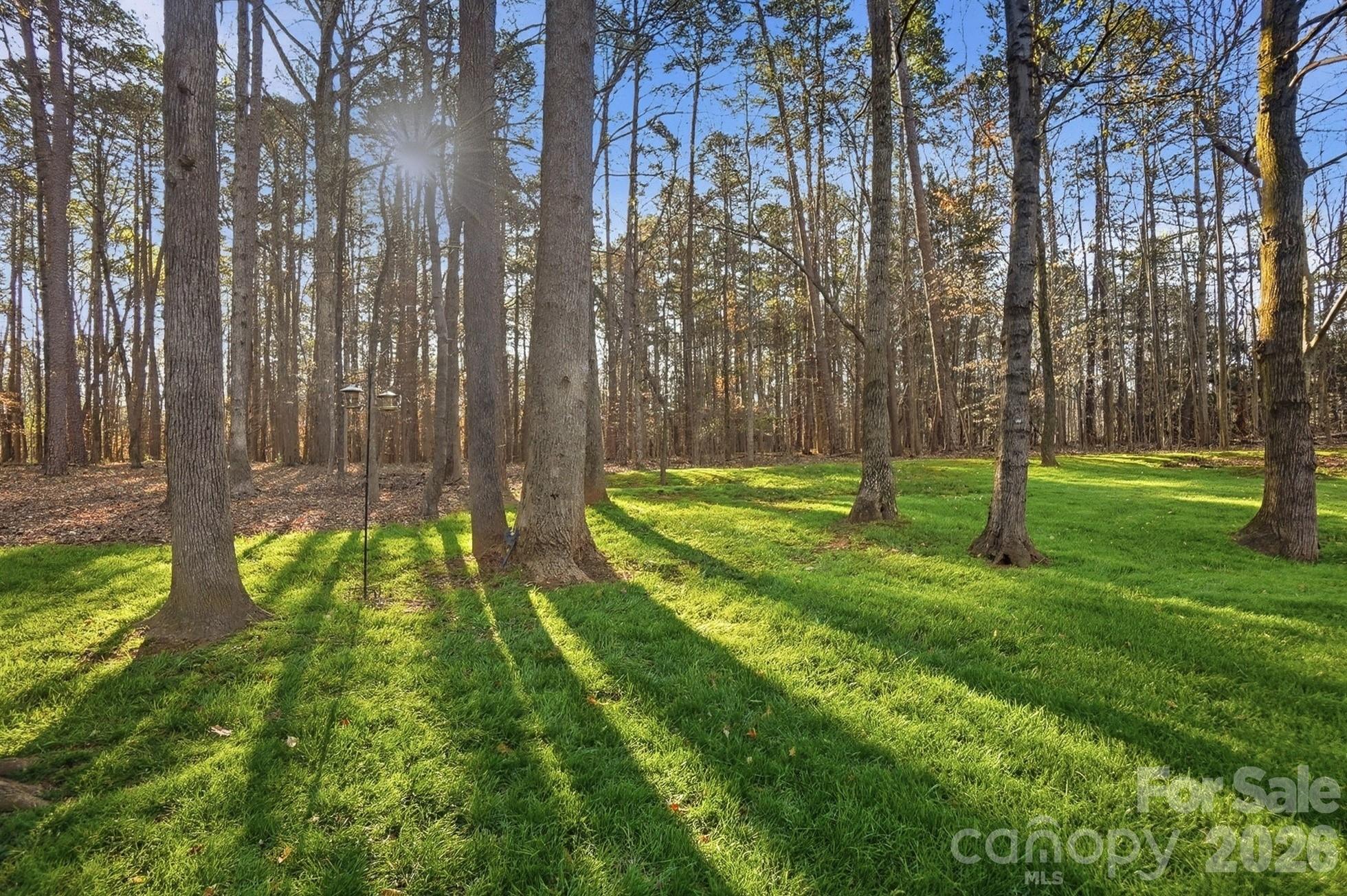 1038 Patricians Lane