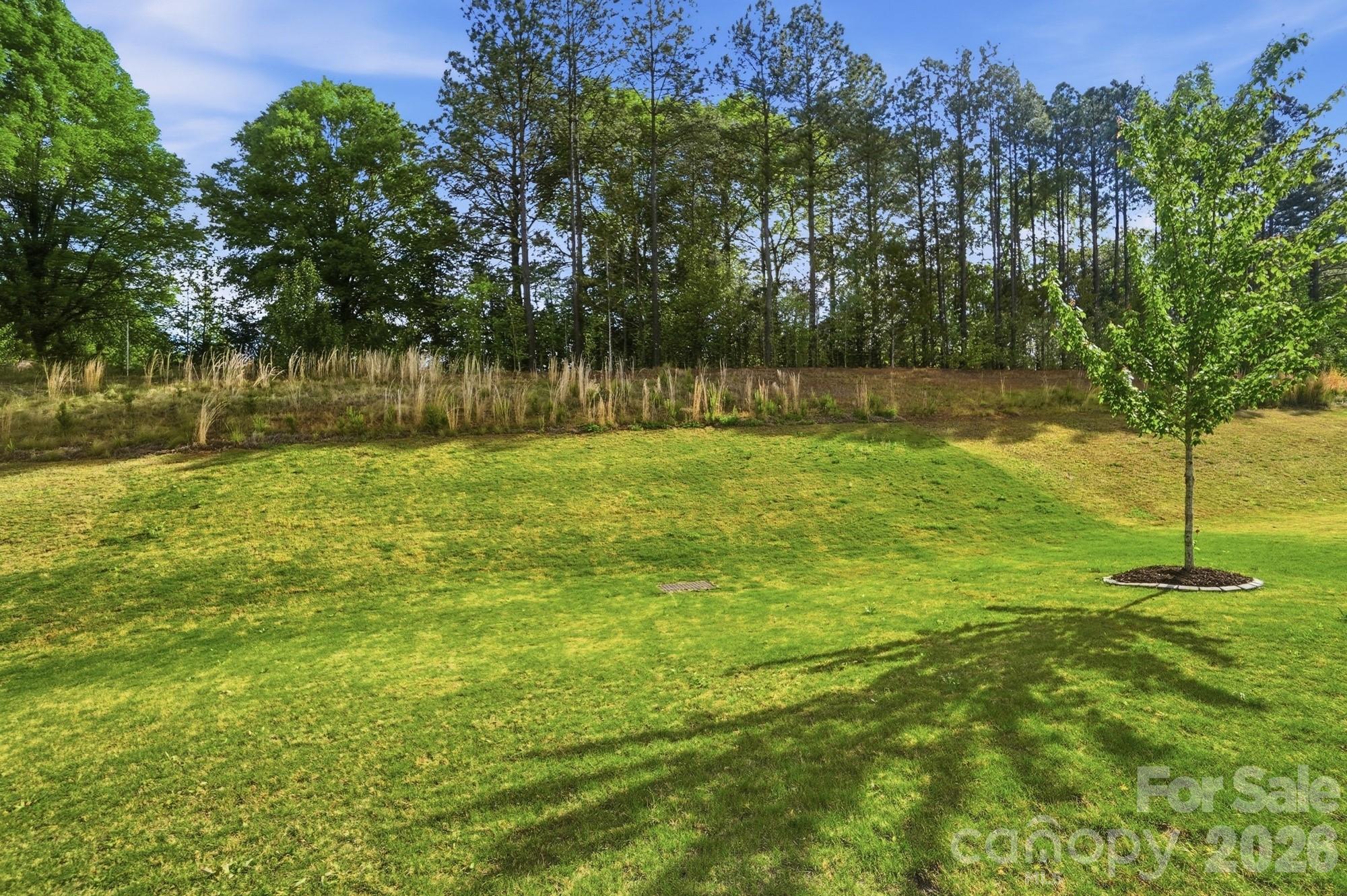 116 Timbergreen Court