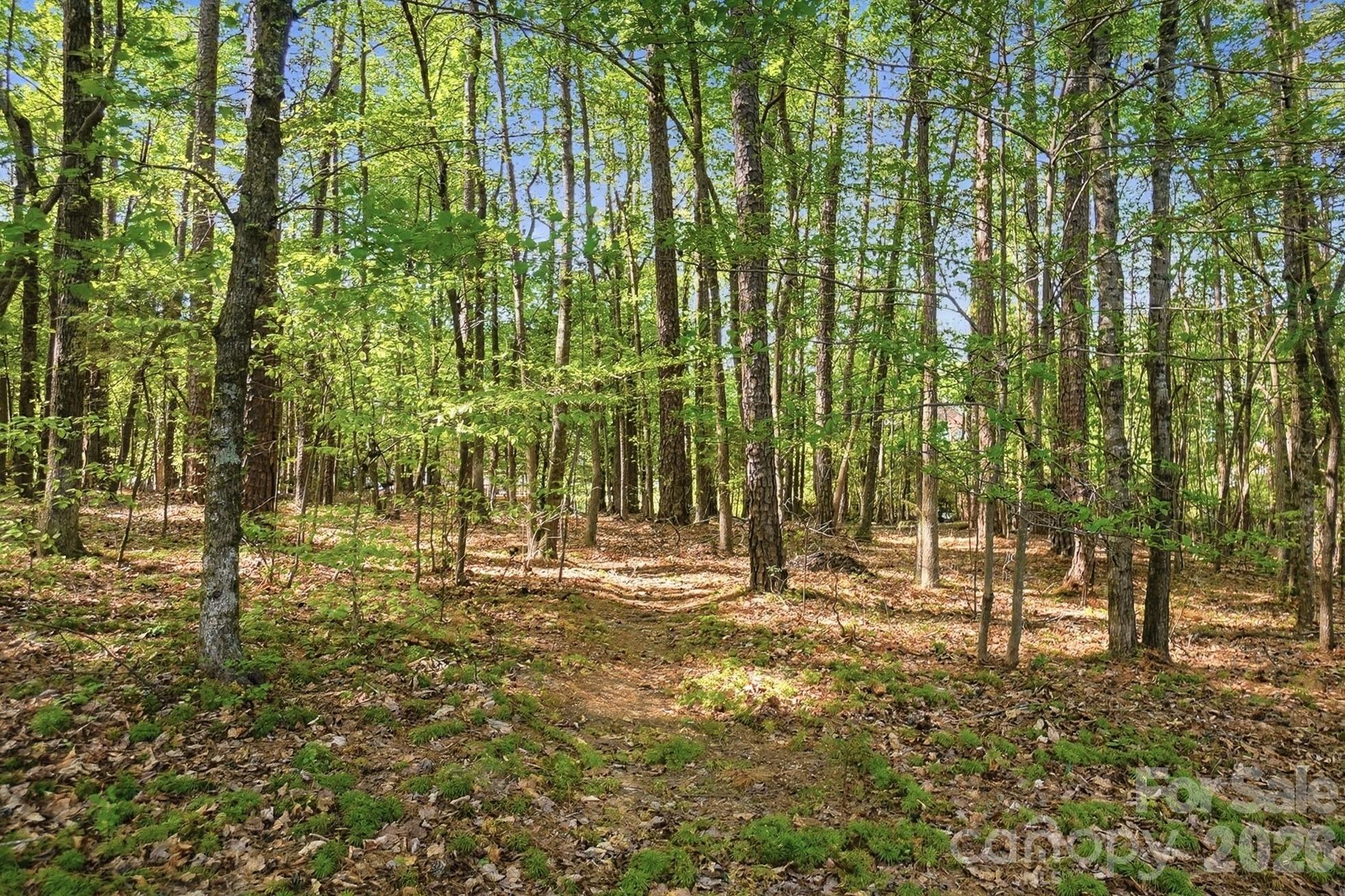 807 Crown Vista Court