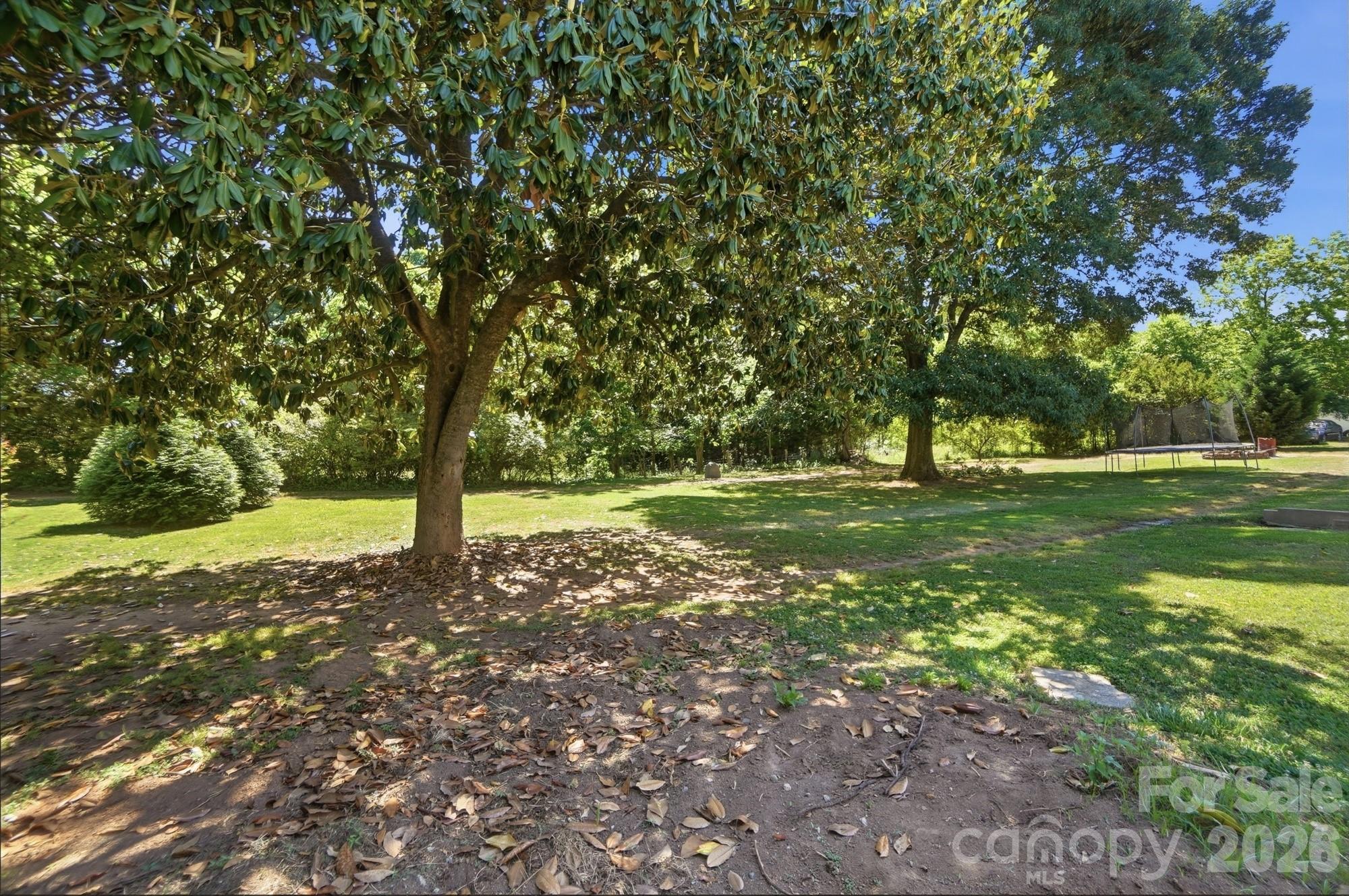 487 Linwood Road