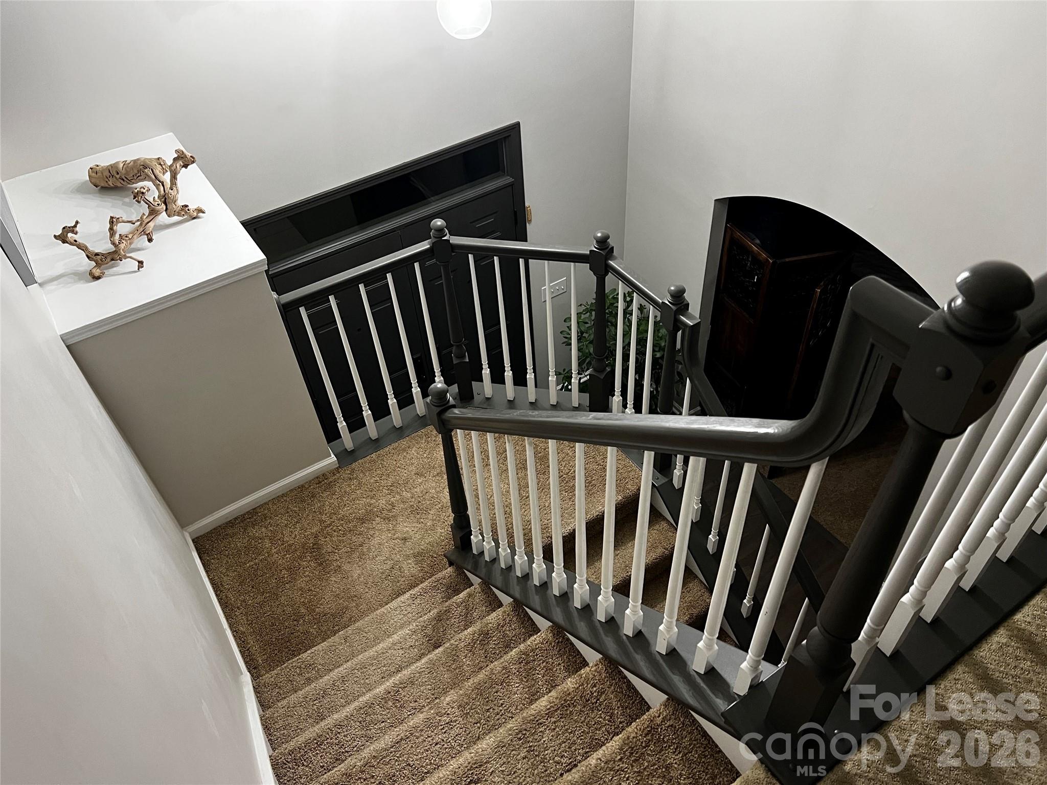 519 Delburg Street