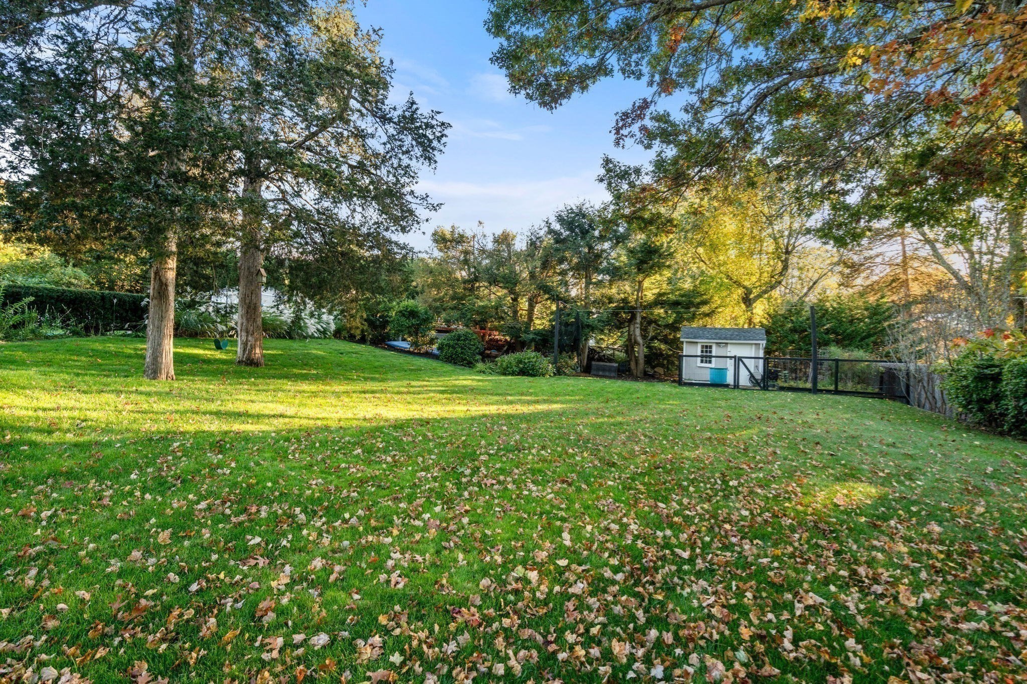 5 Juniper Lane