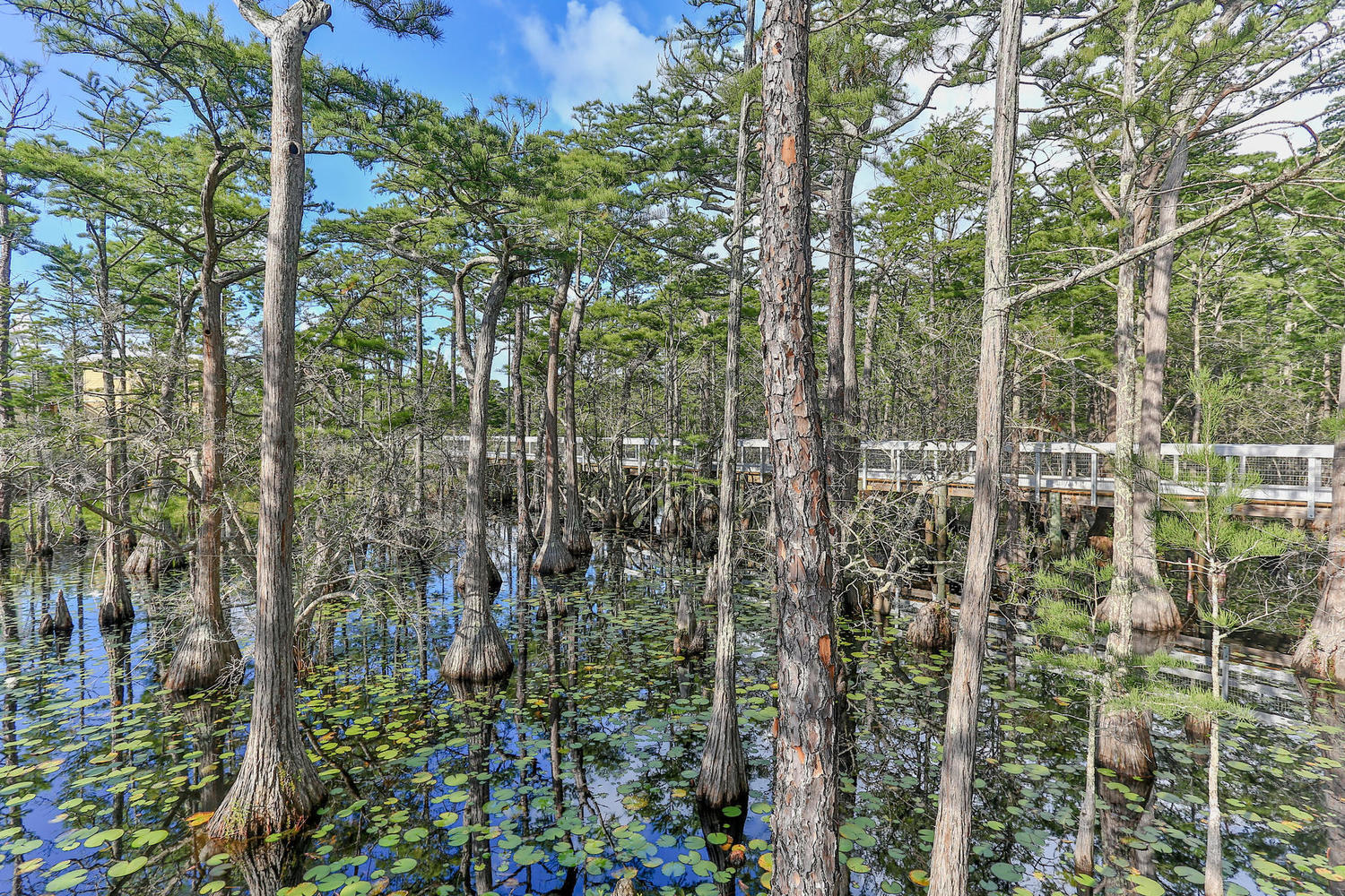 270 Cypress Drive