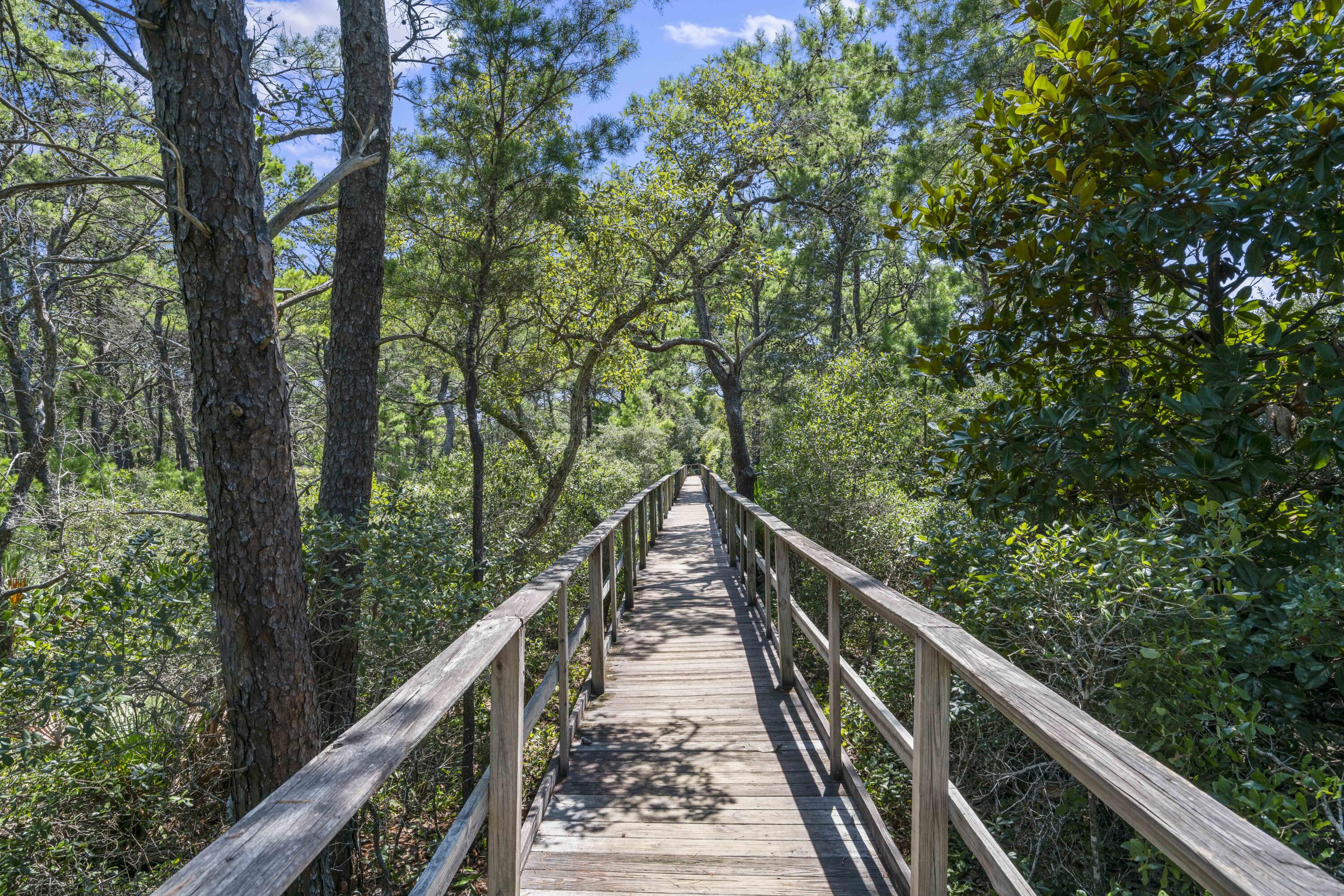 293 Morgans Trail