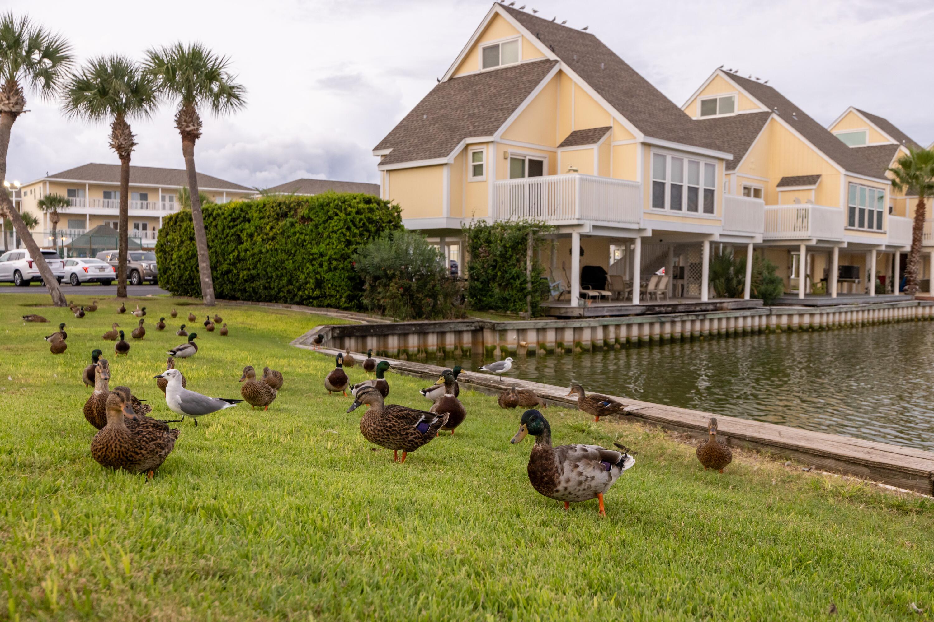 775 Gulf Shore Drive 4132