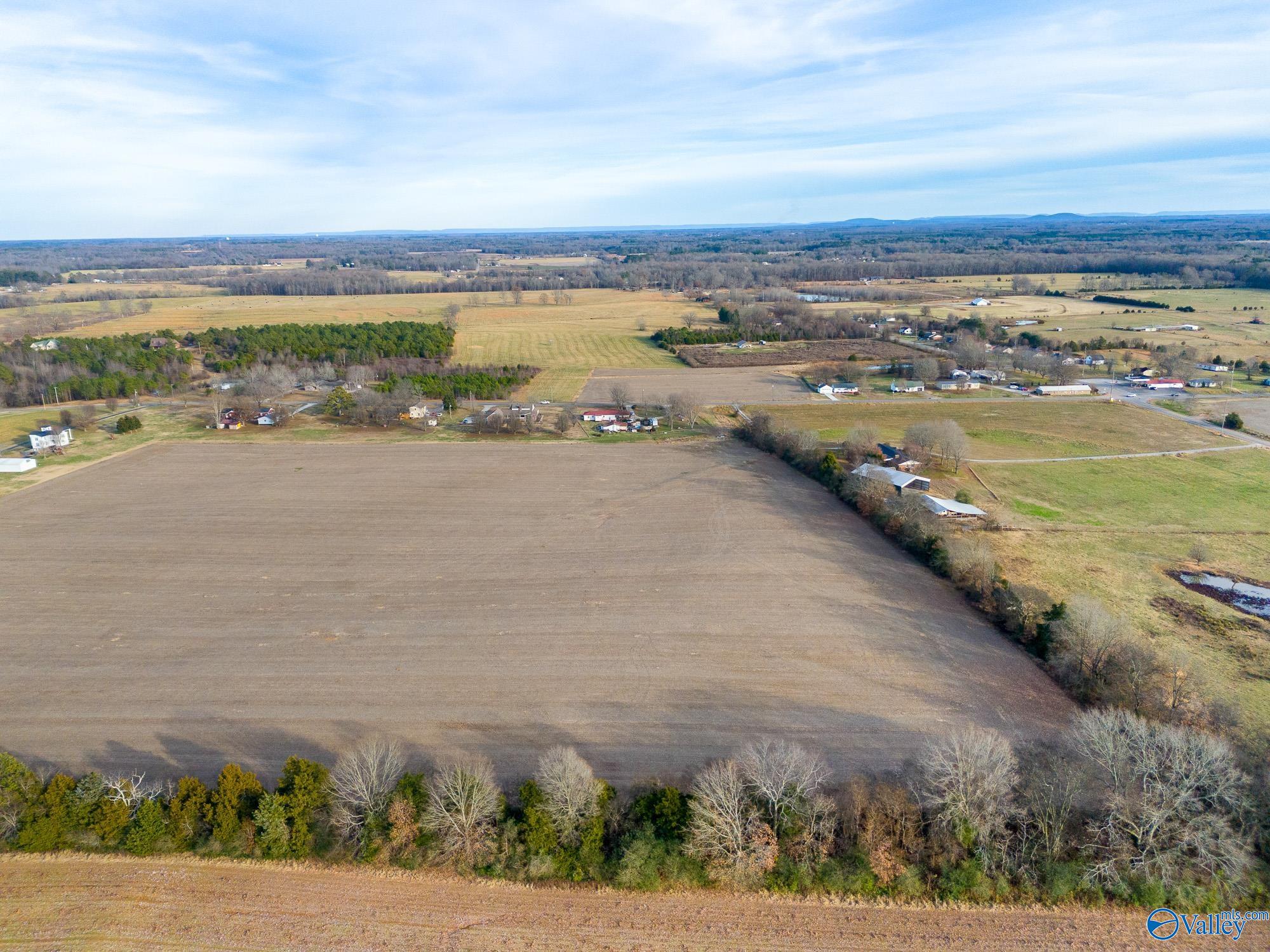 26267 Pettusville Road