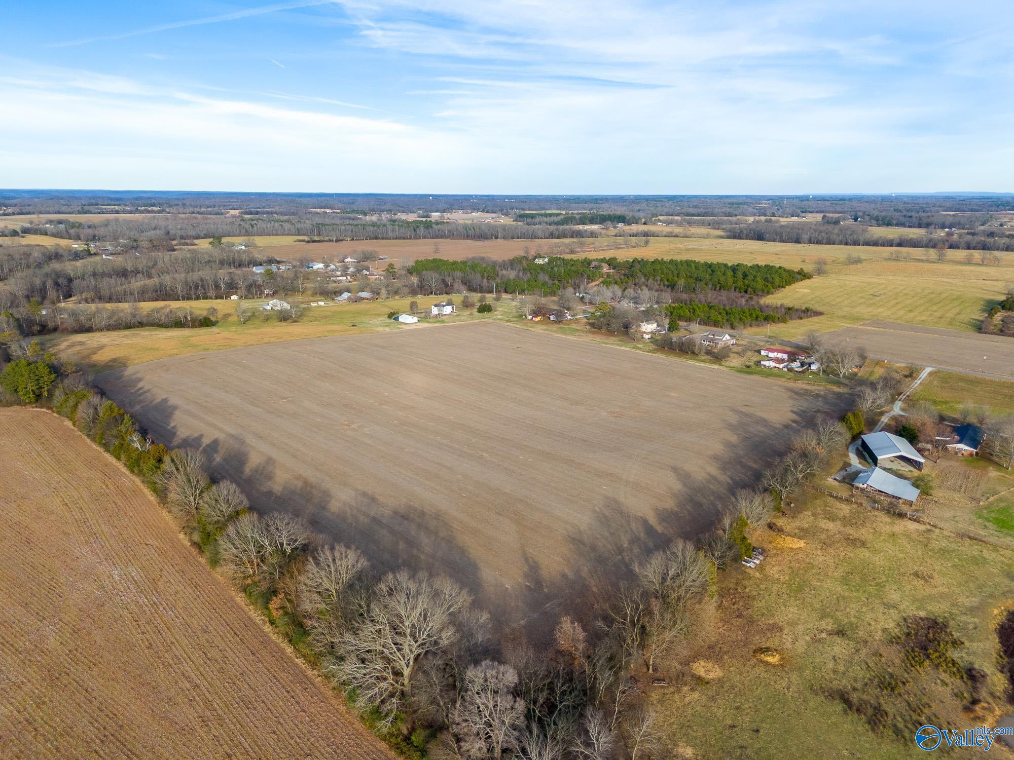 26267 Pettusville Road