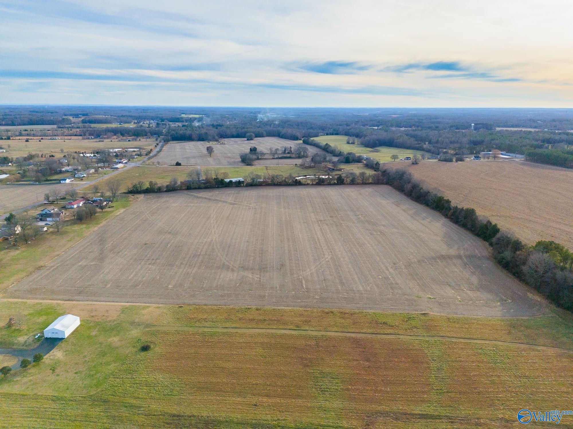 26267 Pettusville Road