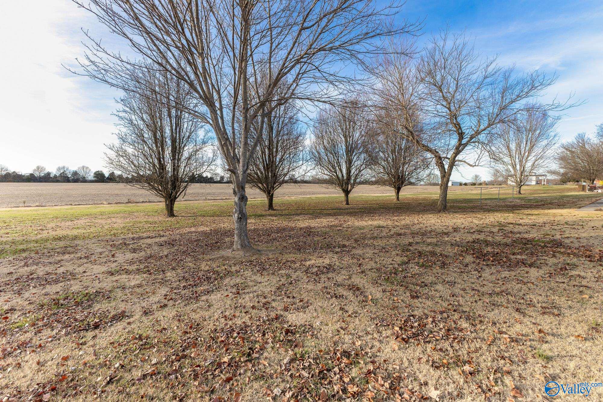 26267 Pettusville Road