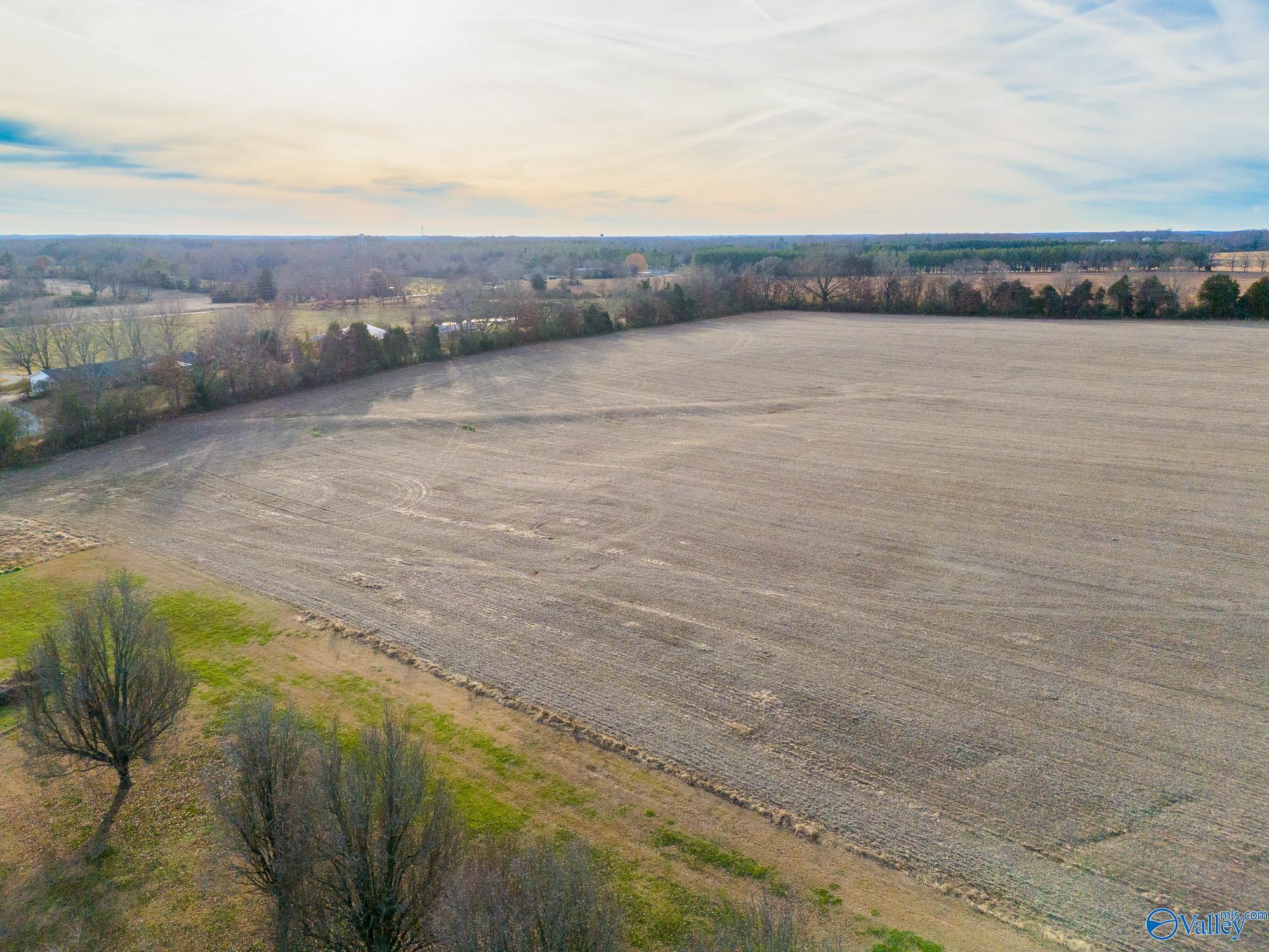 26267 Pettusville Road