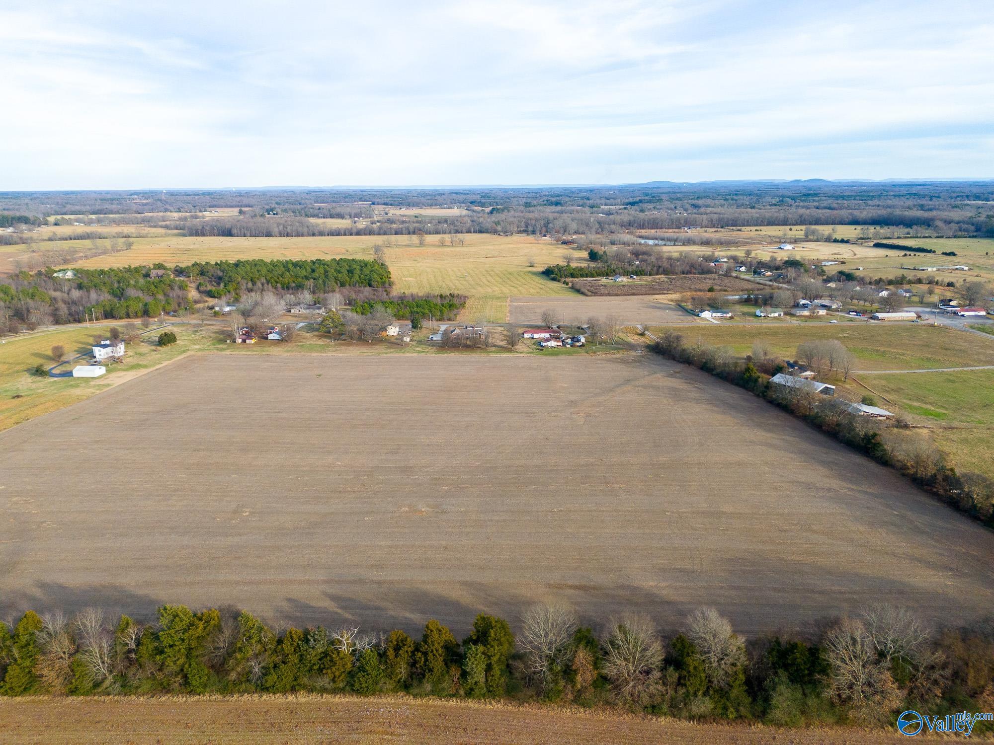 26267 Pettusville Road