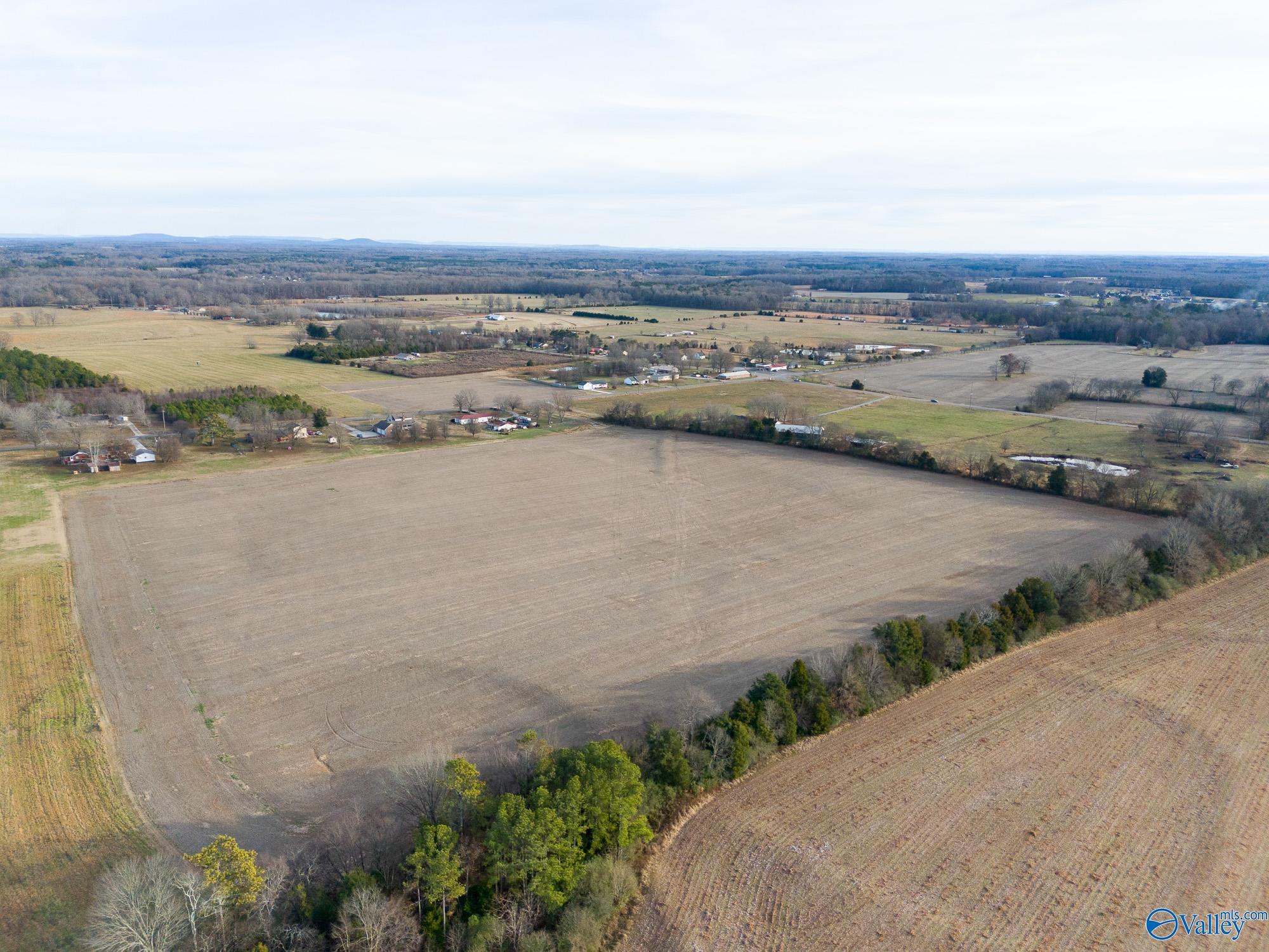 26267 Pettusville Road