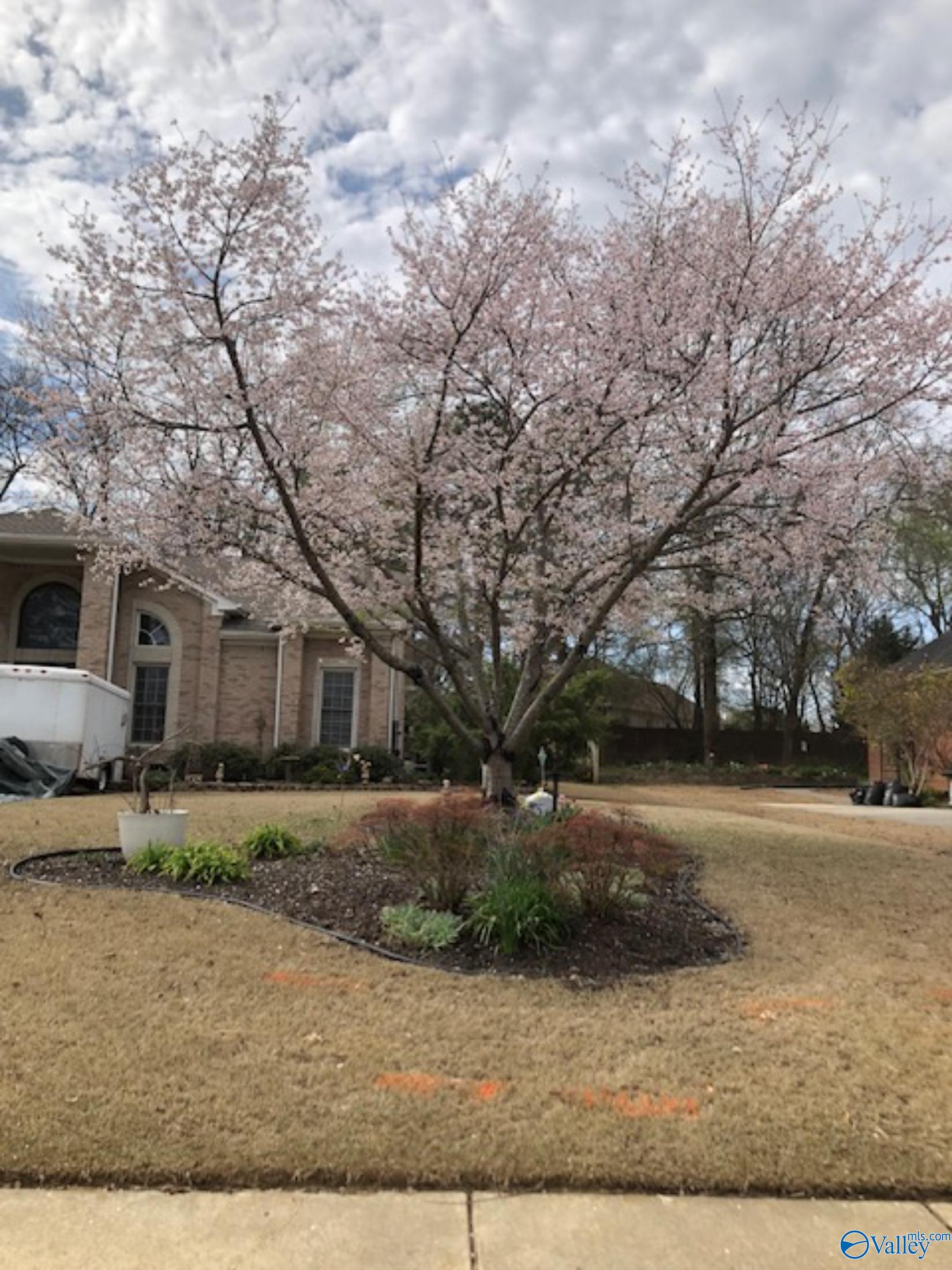 110 Holbrook Drive