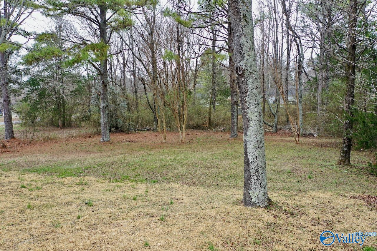 1677 Mckee Road