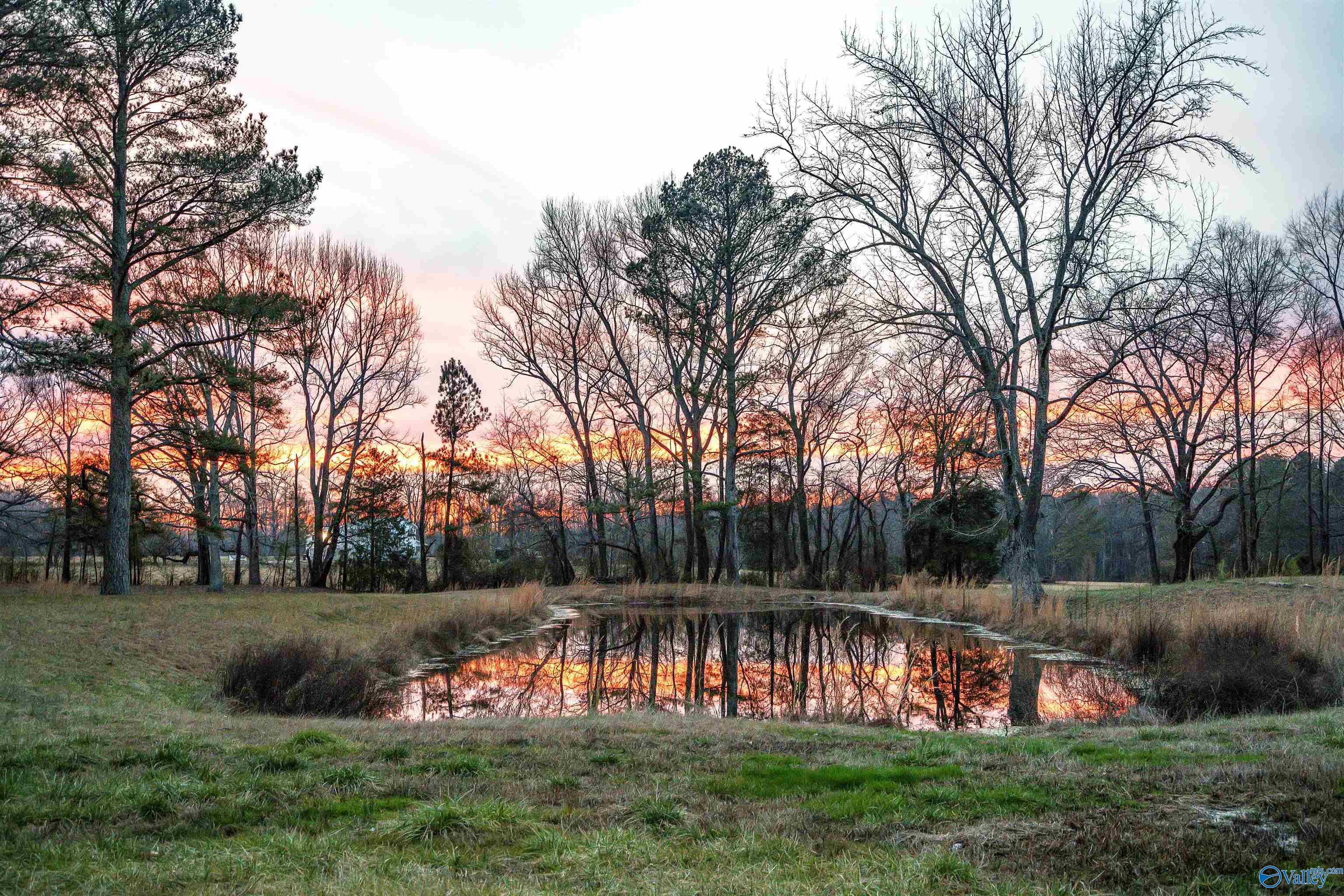 20147 Elkton Road