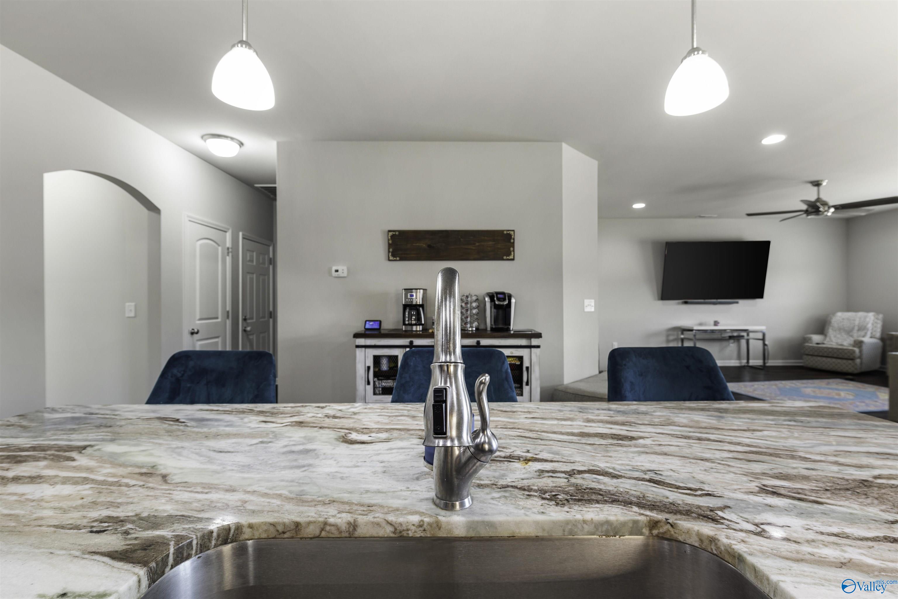 163 Holly Fern Drive