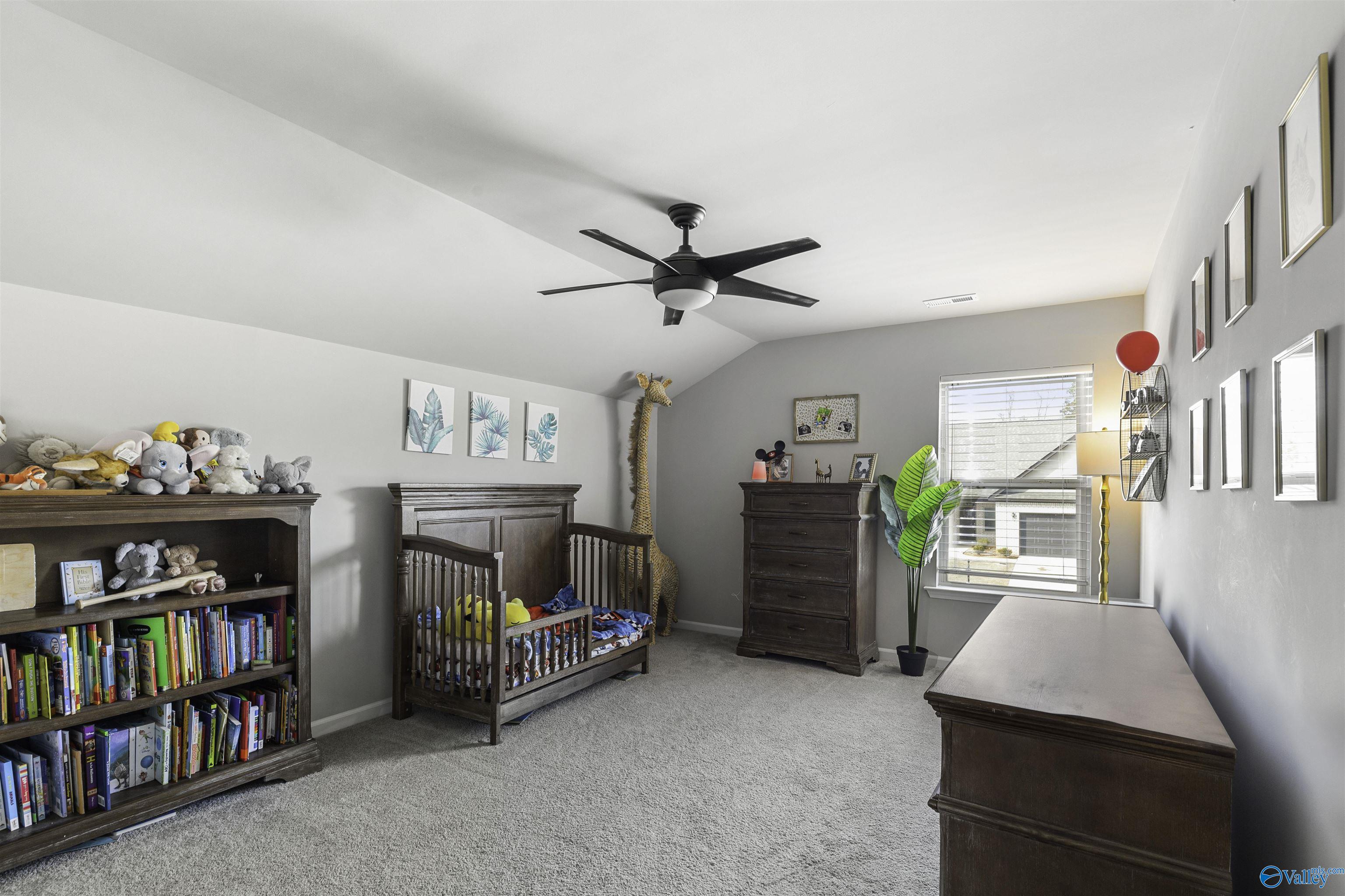 163 Holly Fern Drive