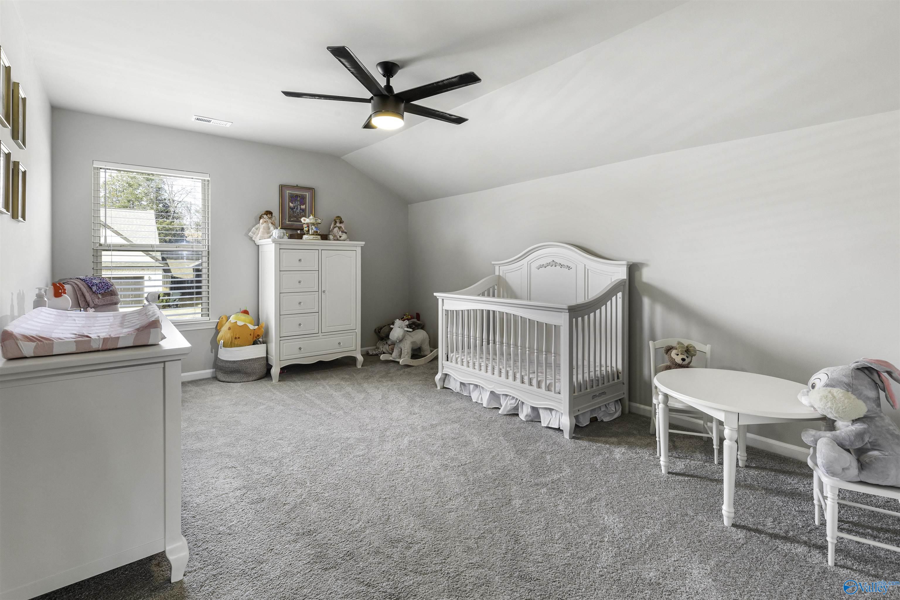 163 Holly Fern Drive