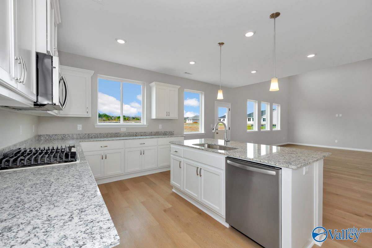 118 Plum Tree Drive