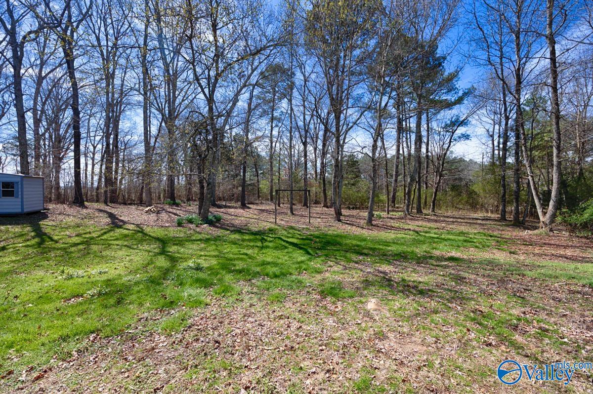 116 Silver Poplar Place
