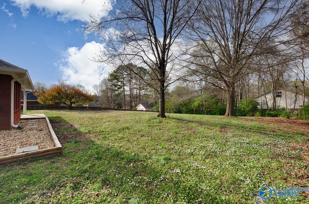 223 Alder Branch Court