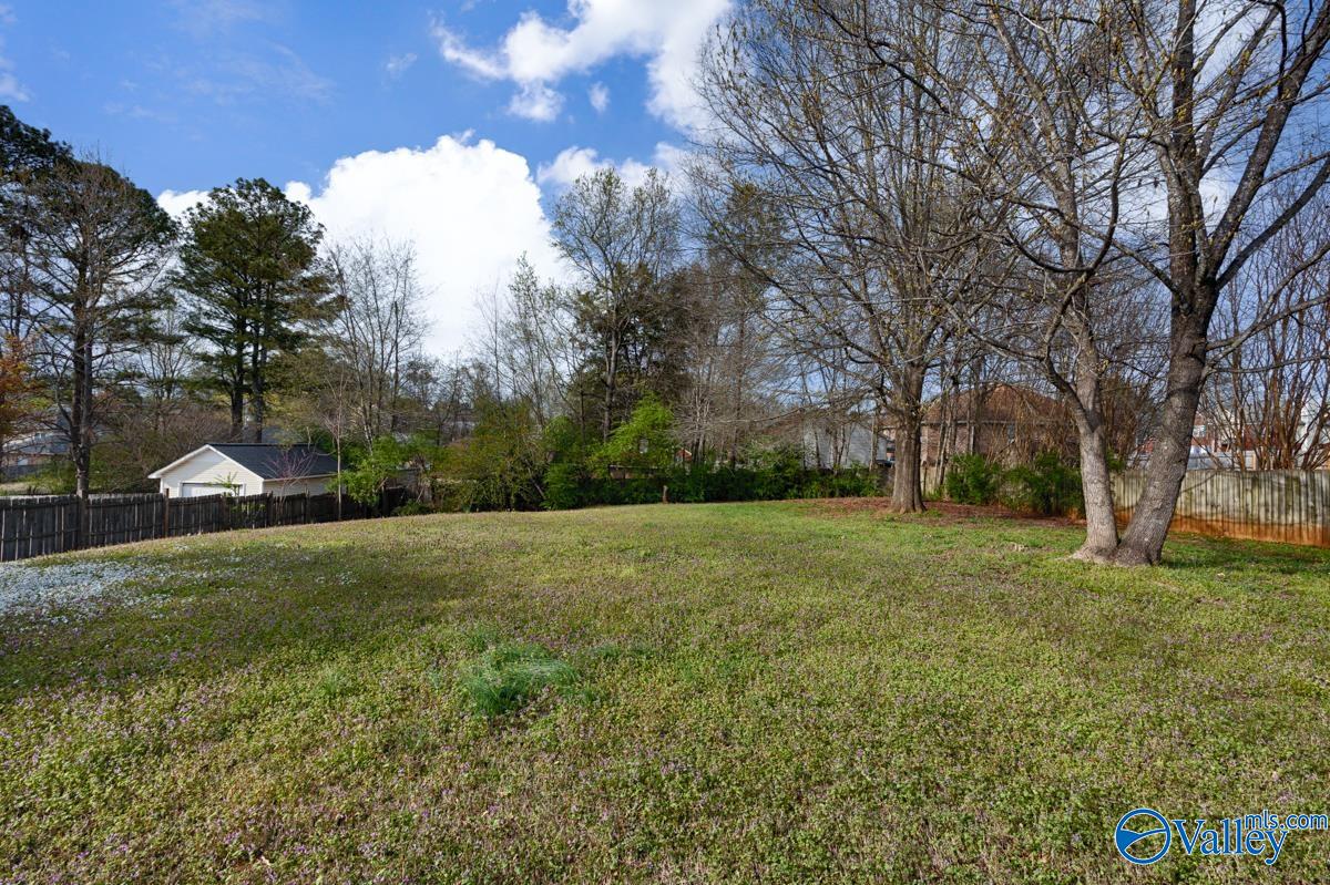 223 Alder Branch Court