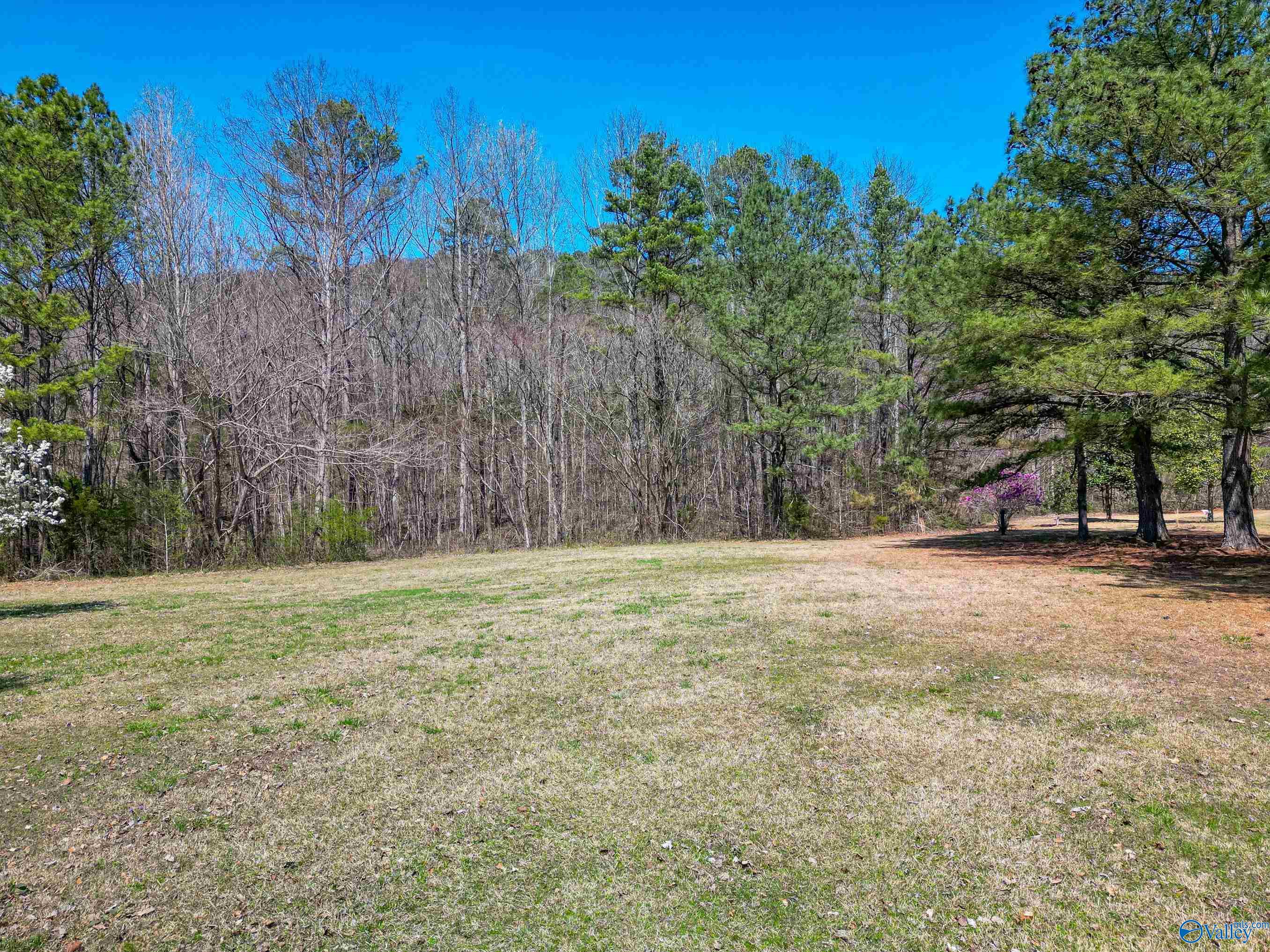 228 Buddy Drive