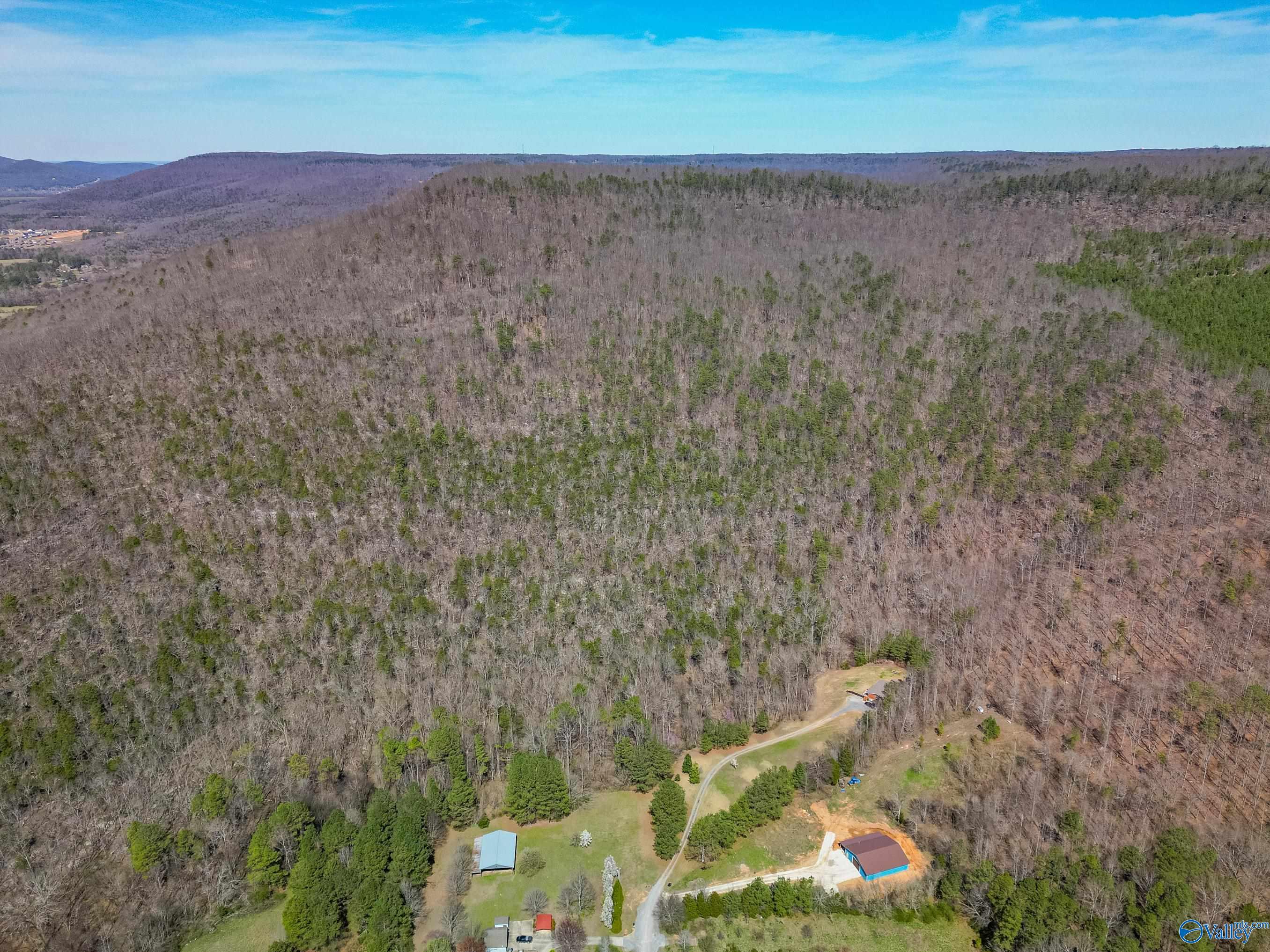 228 Buddy Drive