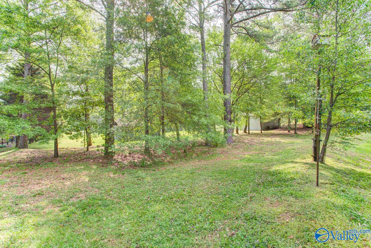409 Knotty Walls Road SE