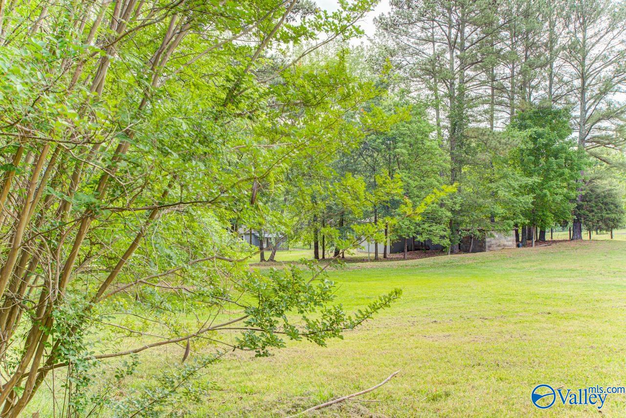 409 Knotty Walls Road SE