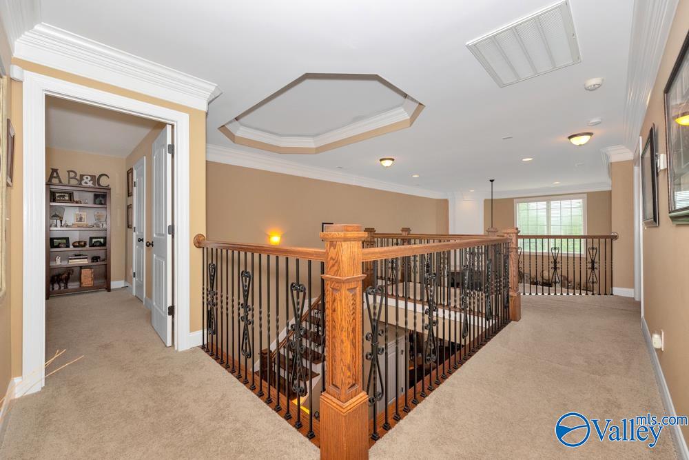 113 Miniver Place
