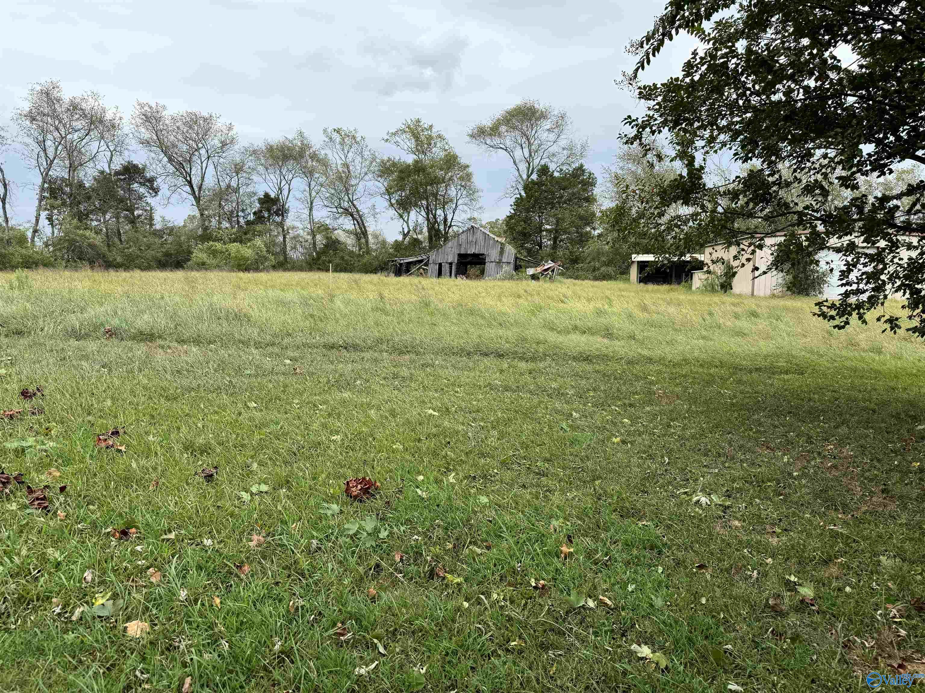 153 Bill Miller Drive