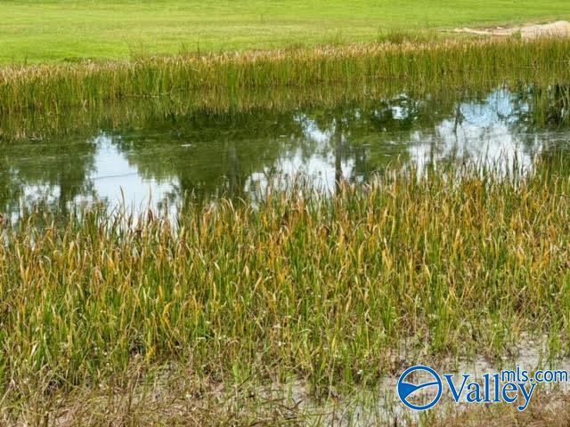 8065 Alabama Highway 71