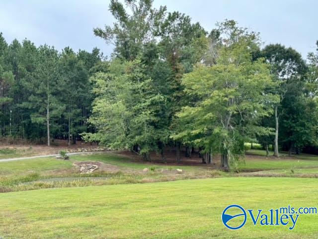 8065 Alabama Highway 71