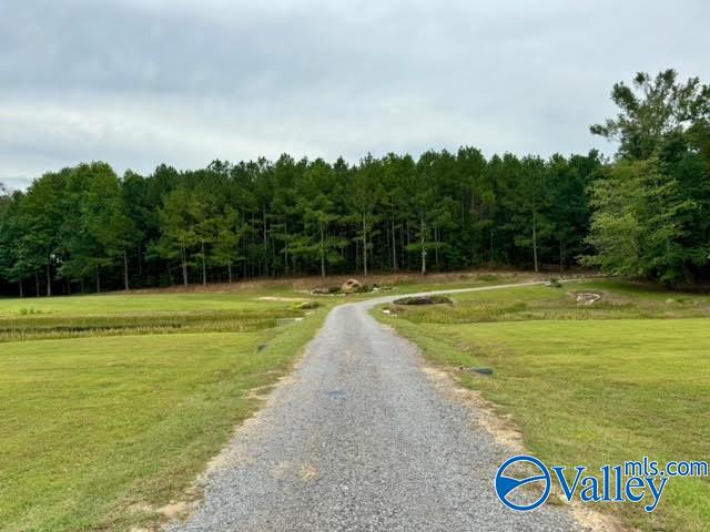 8065 Alabama Highway 71