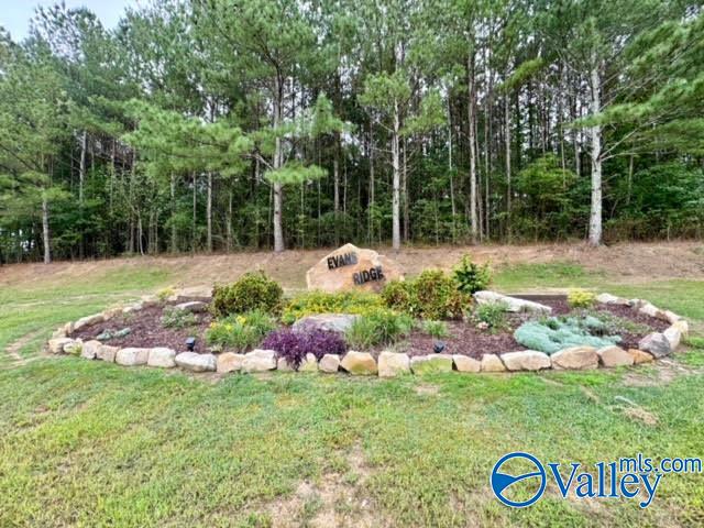 8065 Alabama Highway 71