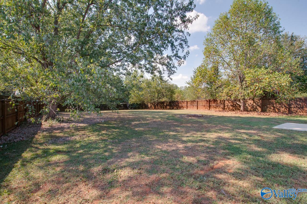 102 Bramblebush Drive
