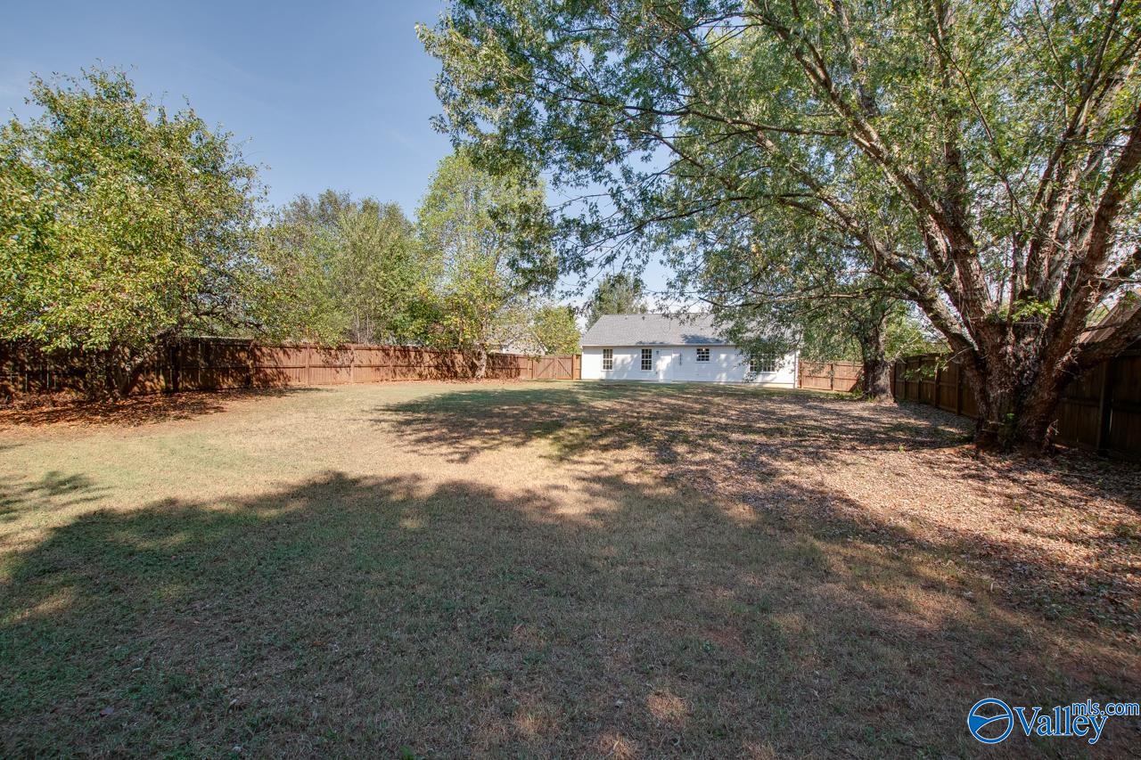 102 Bramblebush Drive