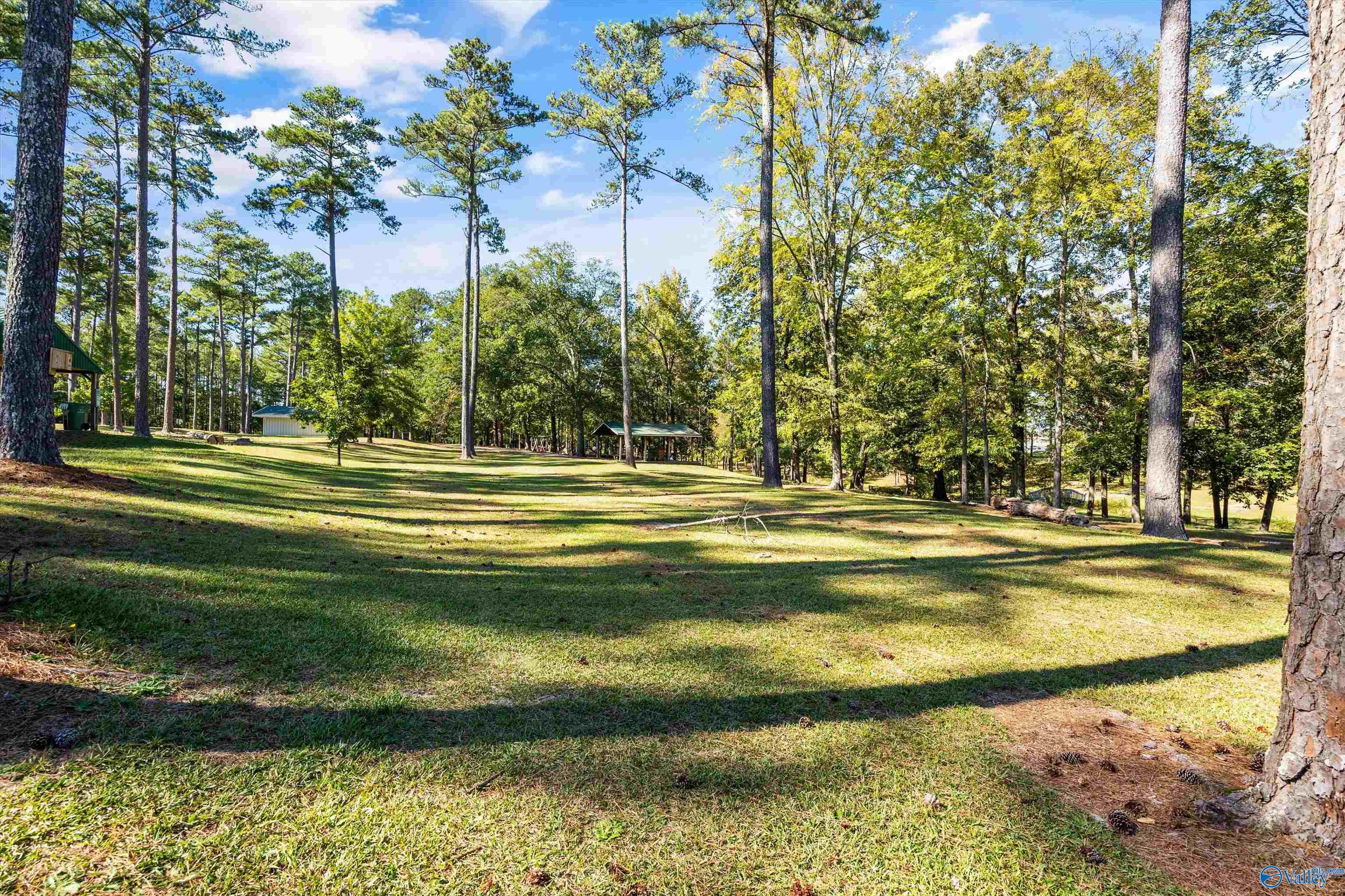 705 Magnolia Place Lane SW