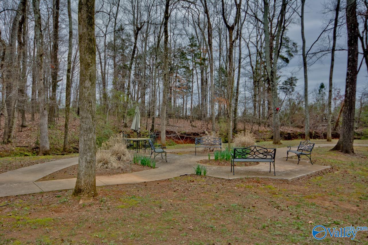 8599 Bellewood Lane