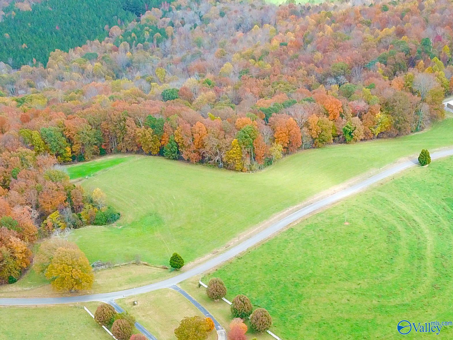 10 ACRES Latham