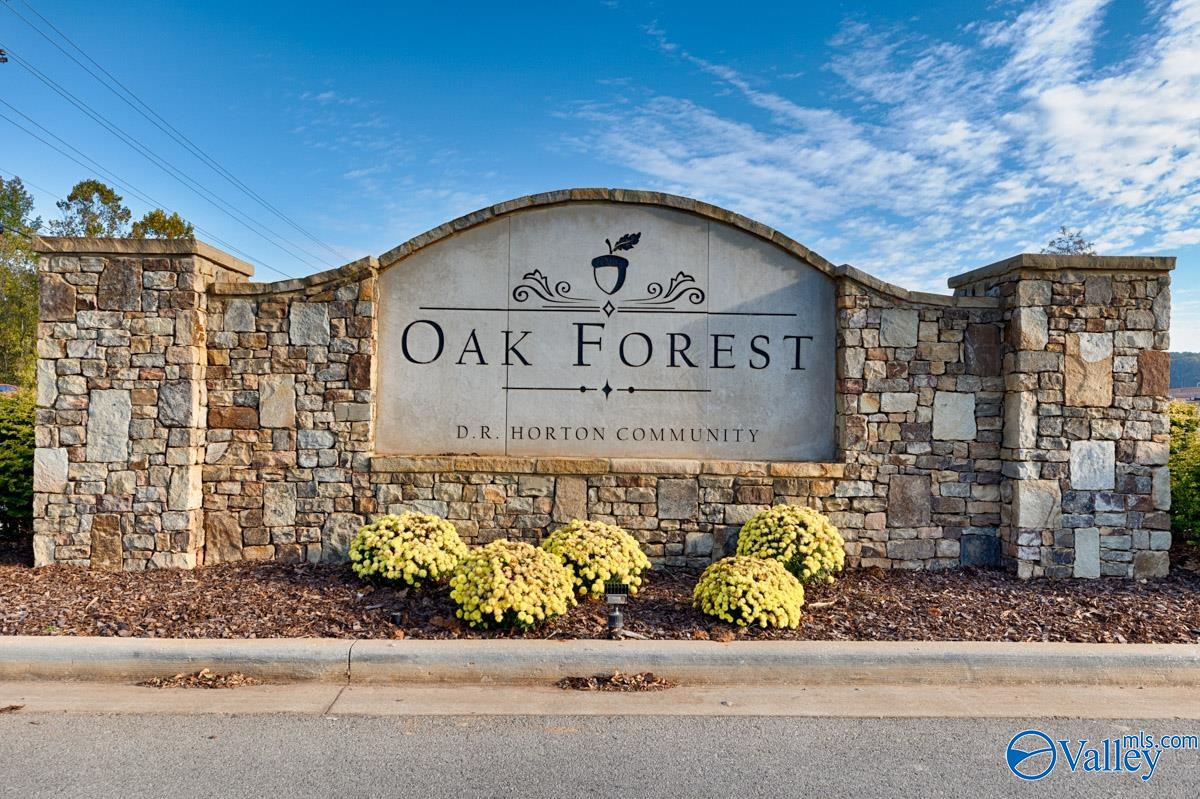340 Sandy Oak Drive