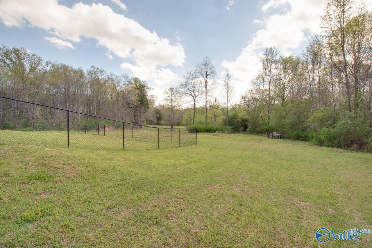338 Paint Rock Road