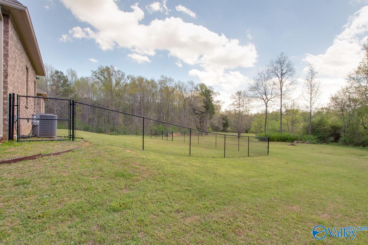 338 Paint Rock Road