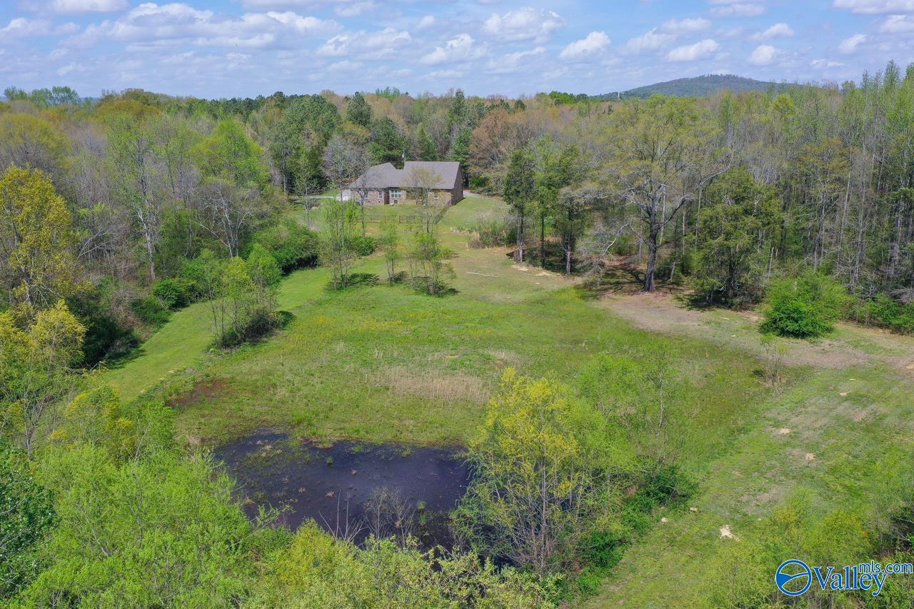 338 Paint Rock Road