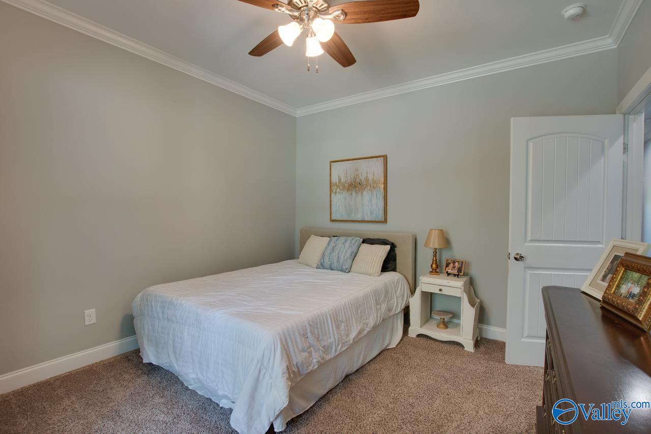 338 Paint Rock Road