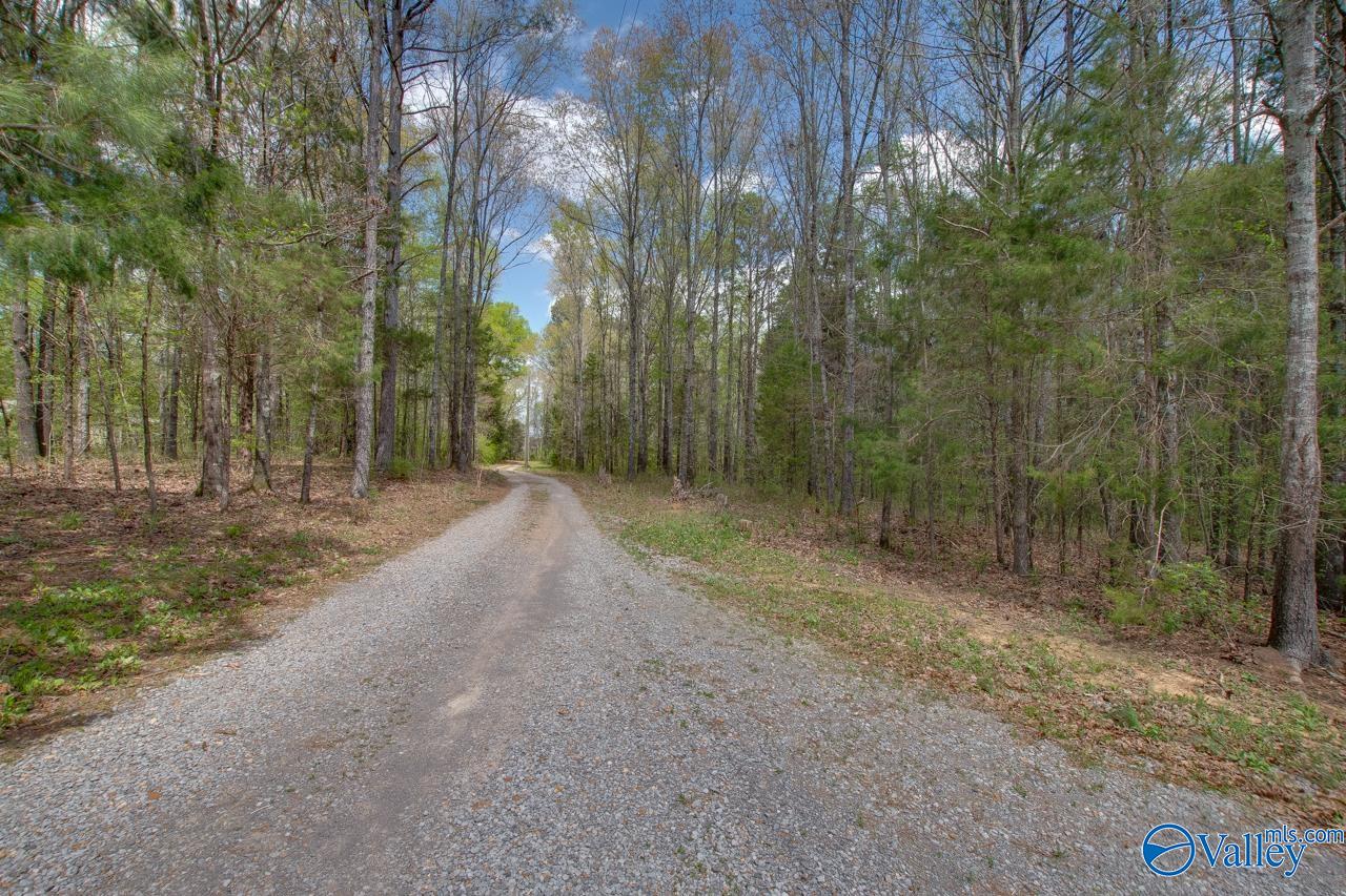 338 Paint Rock Road