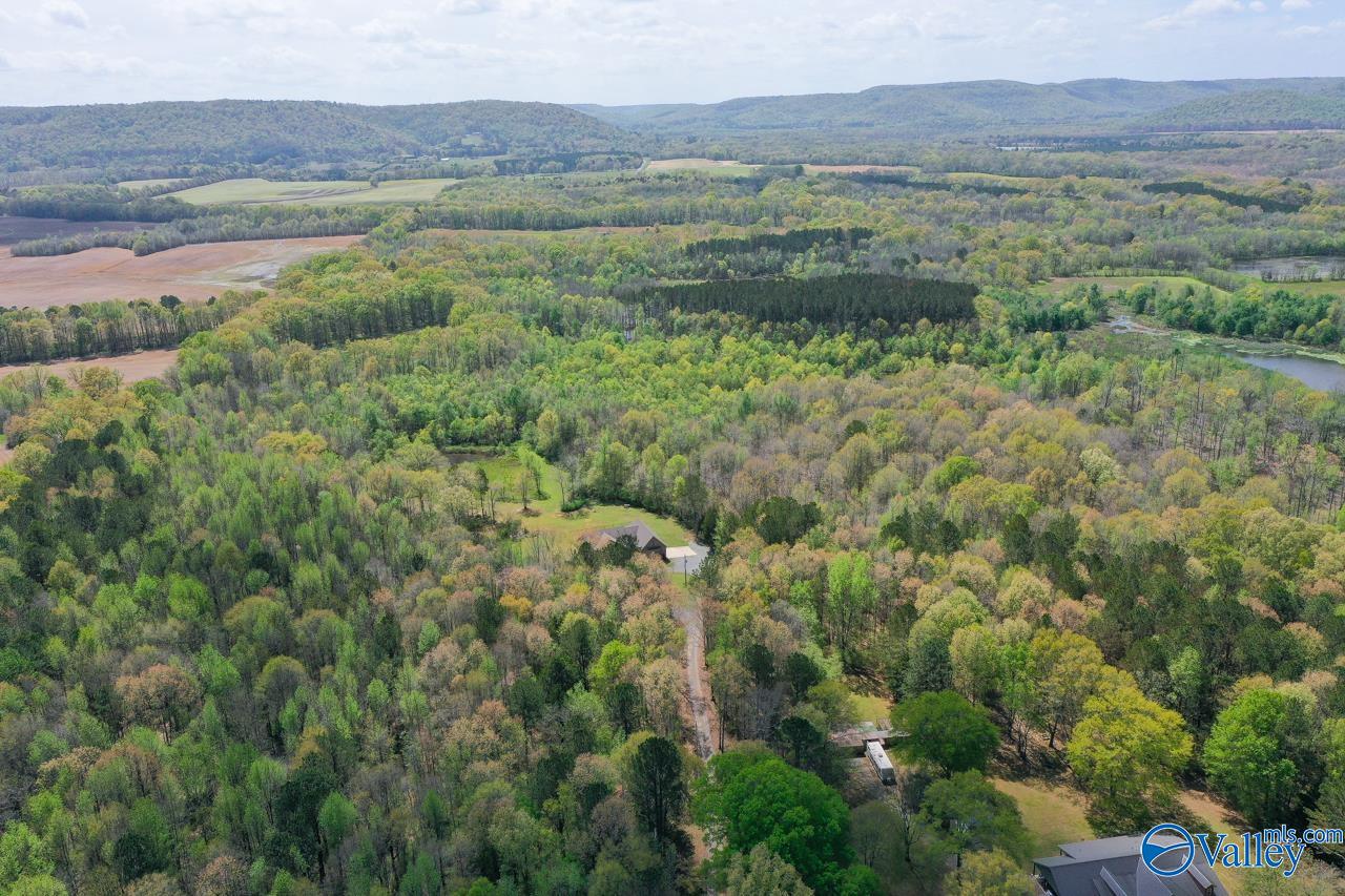 338 Paint Rock Road